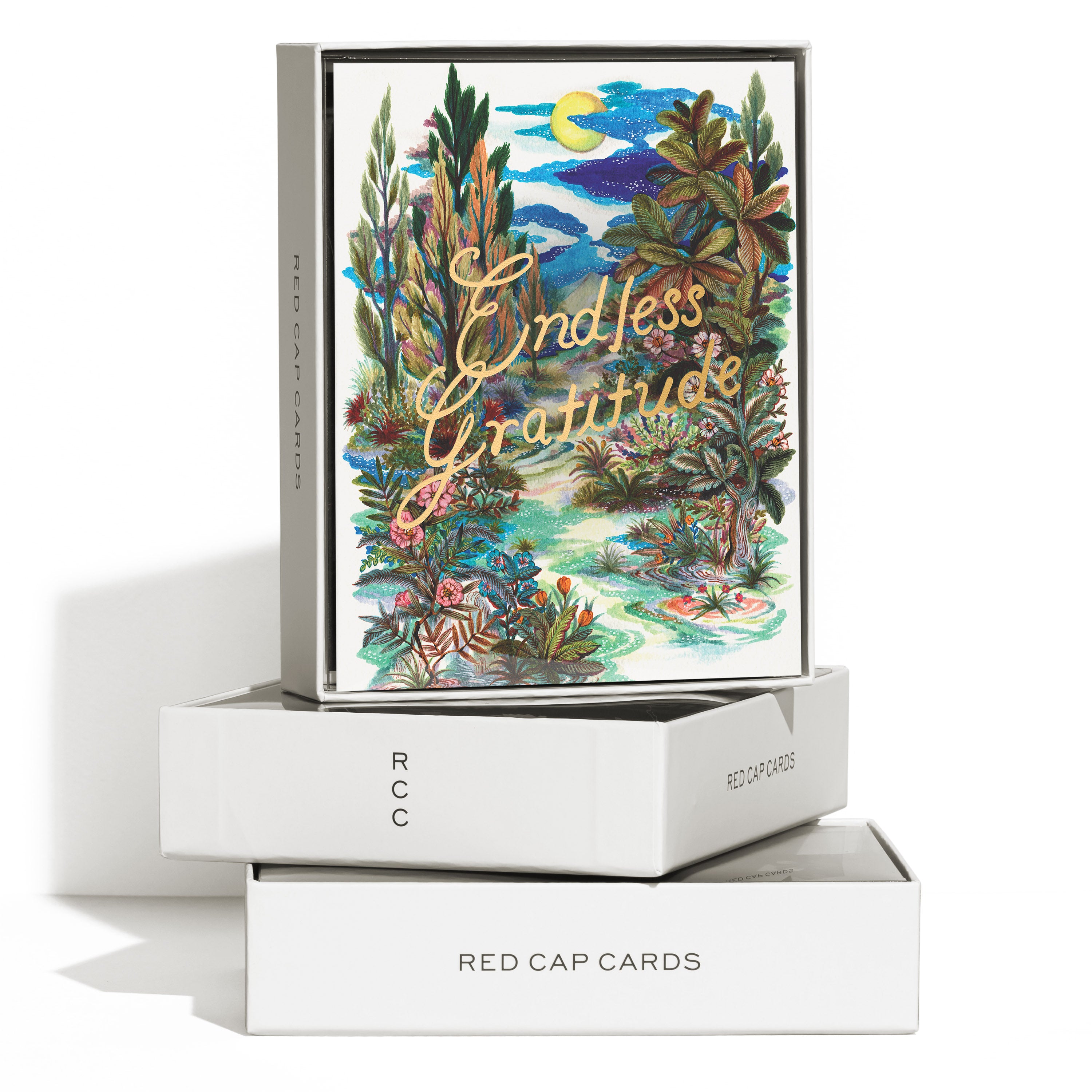 Endless Gratitude greeting card