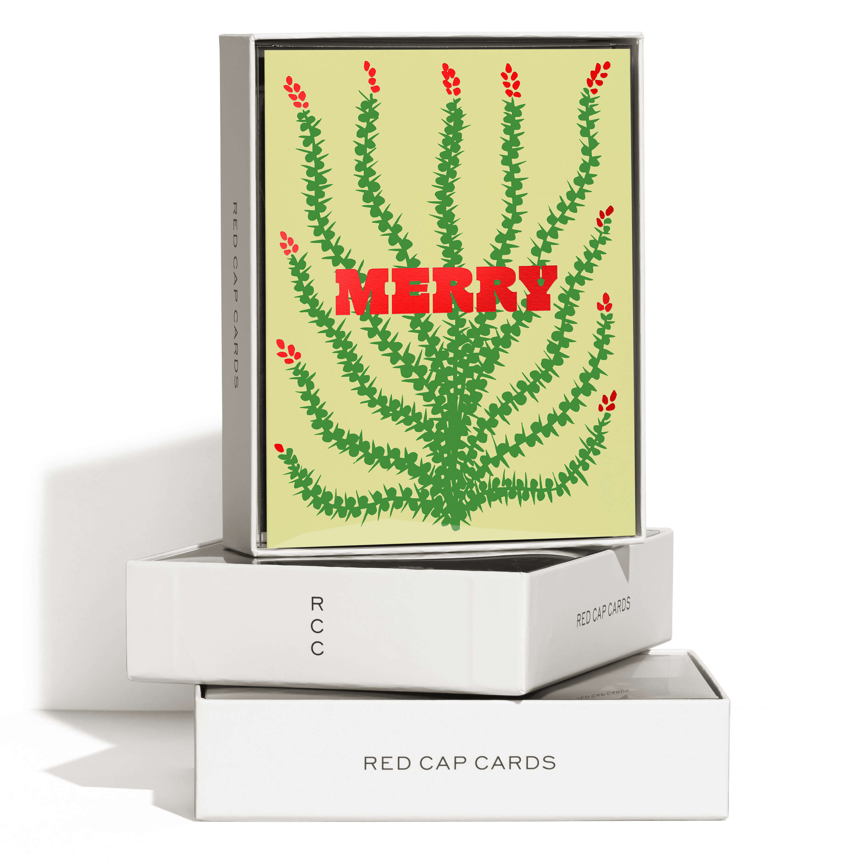 Holiday Cactus greeting card