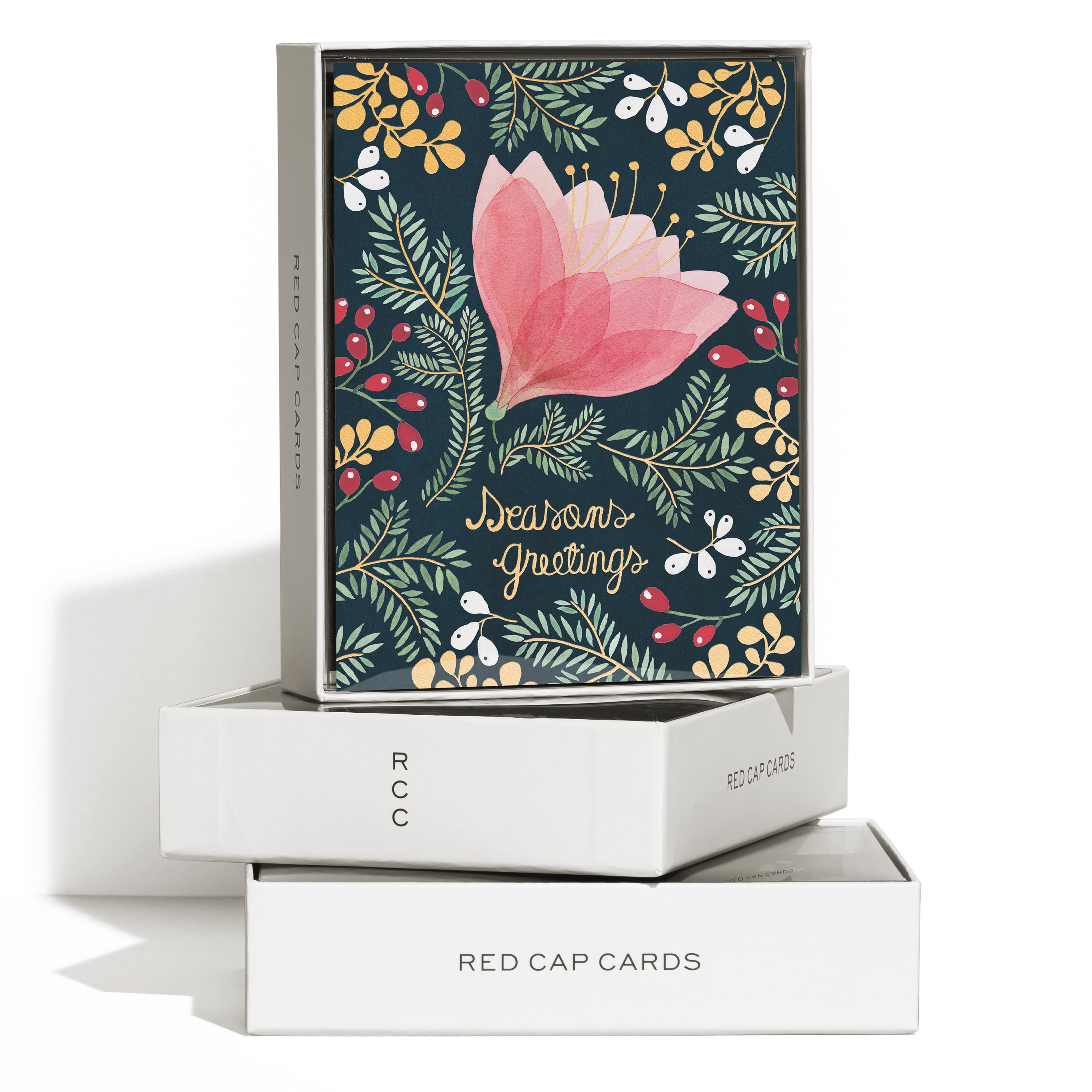 Amaryllis Holiday greeting card