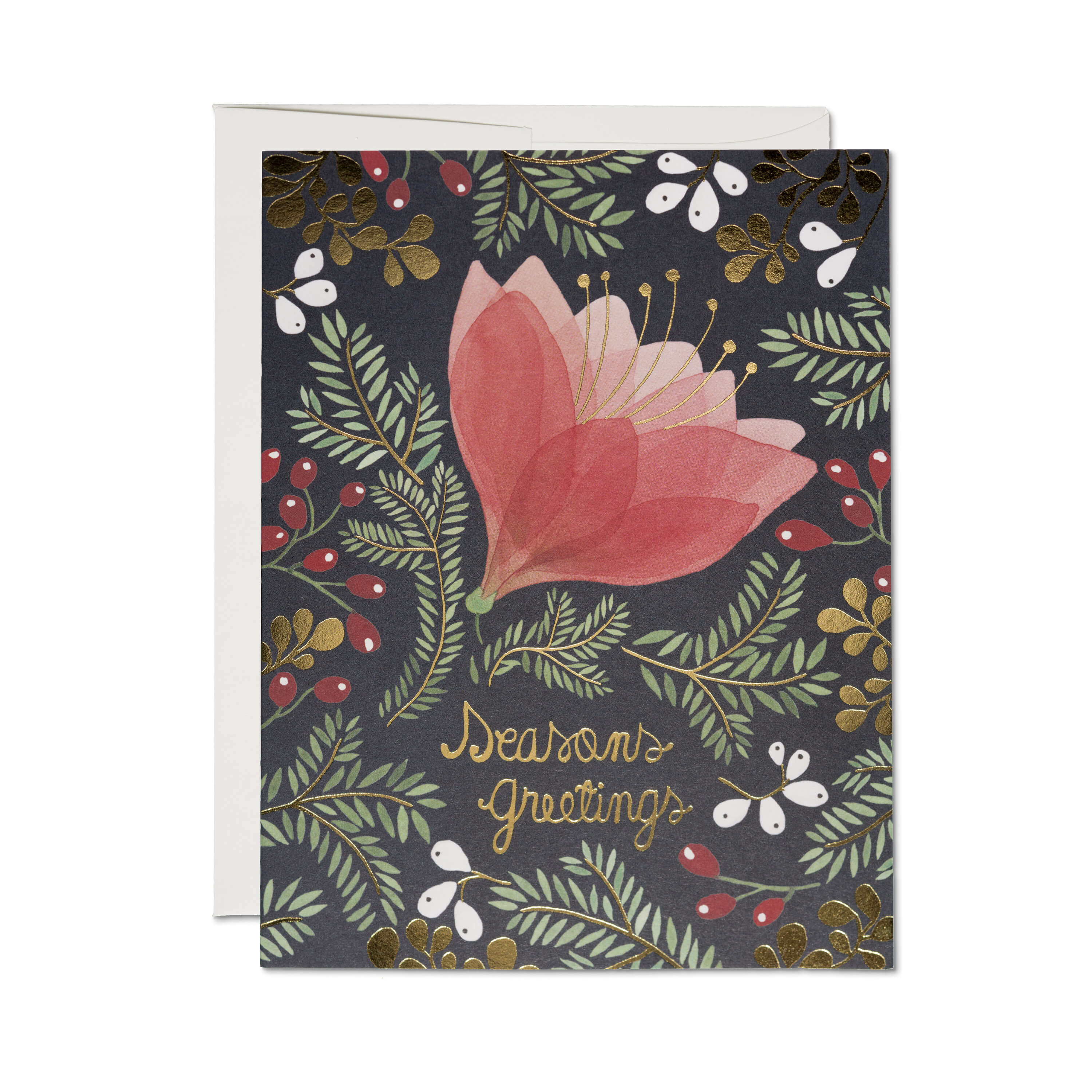 Amaryllis Holiday greeting card Single