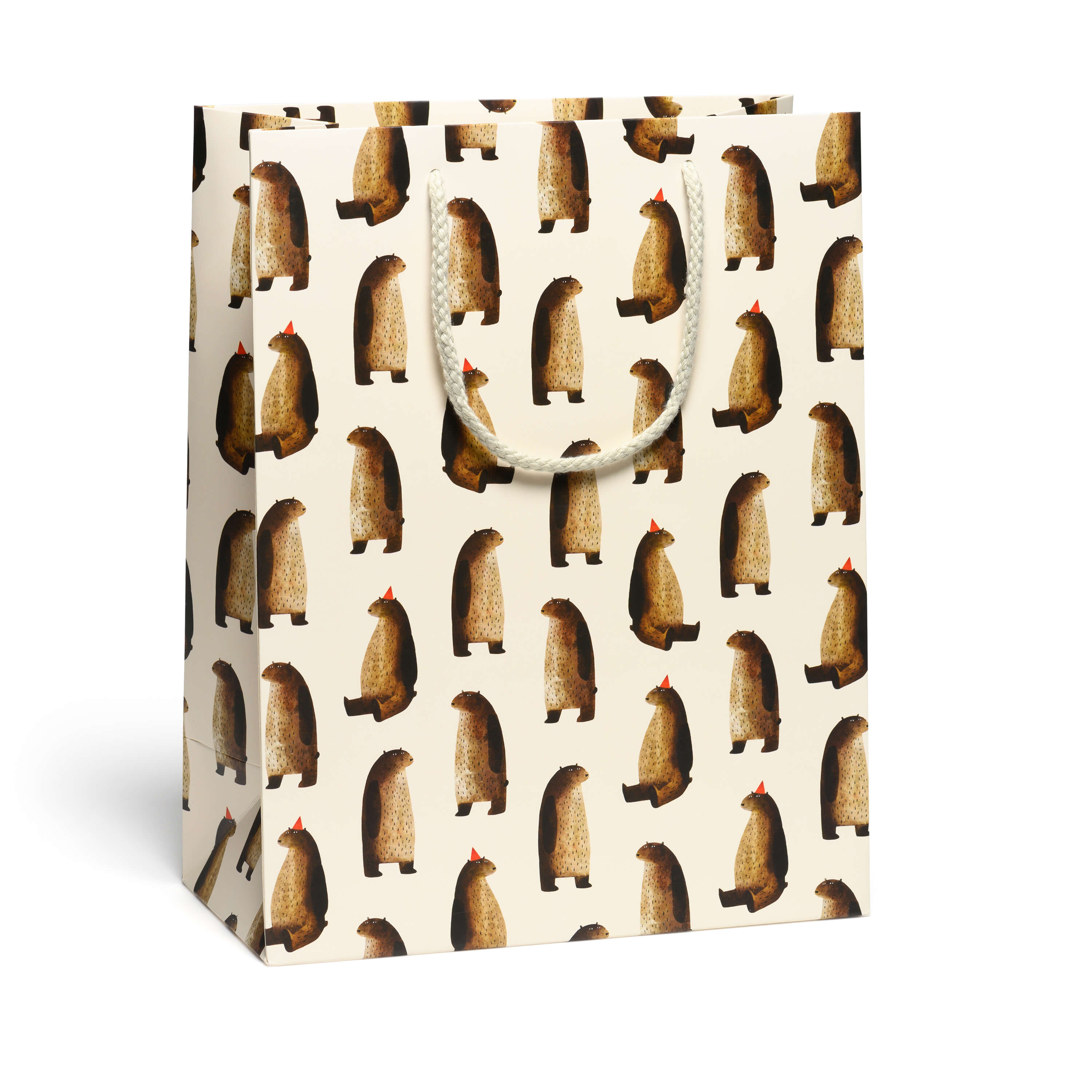 Party Bear large gift bag Large