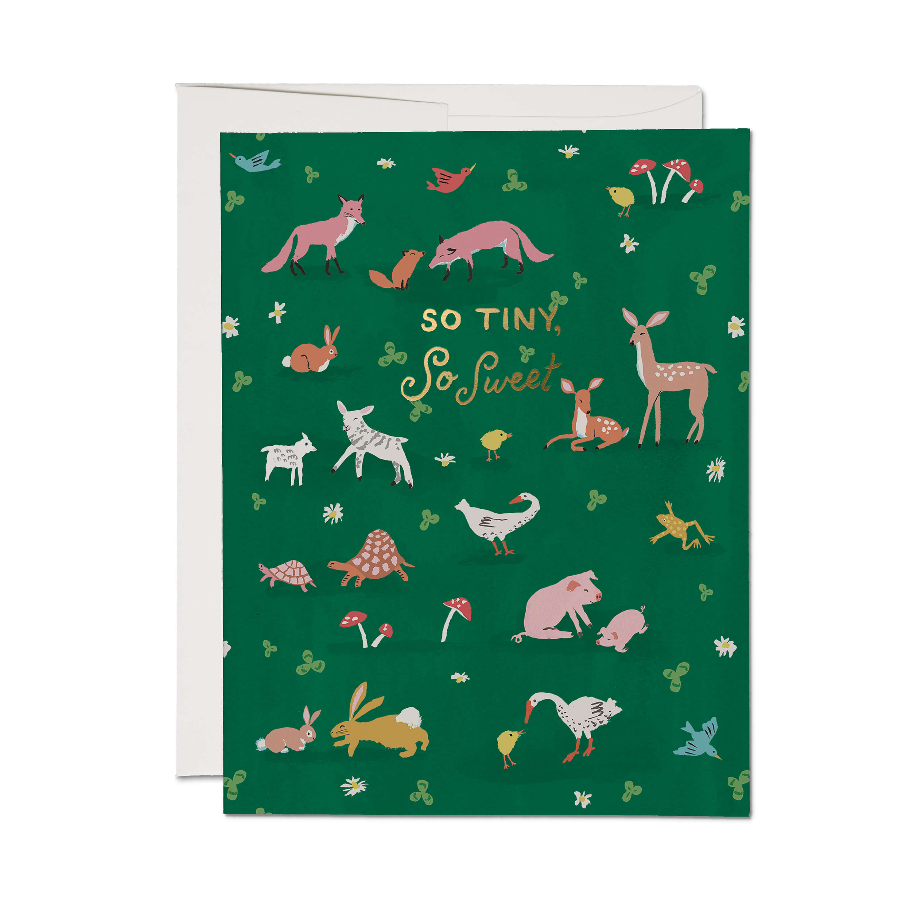 Tiny Animals SINGLE
