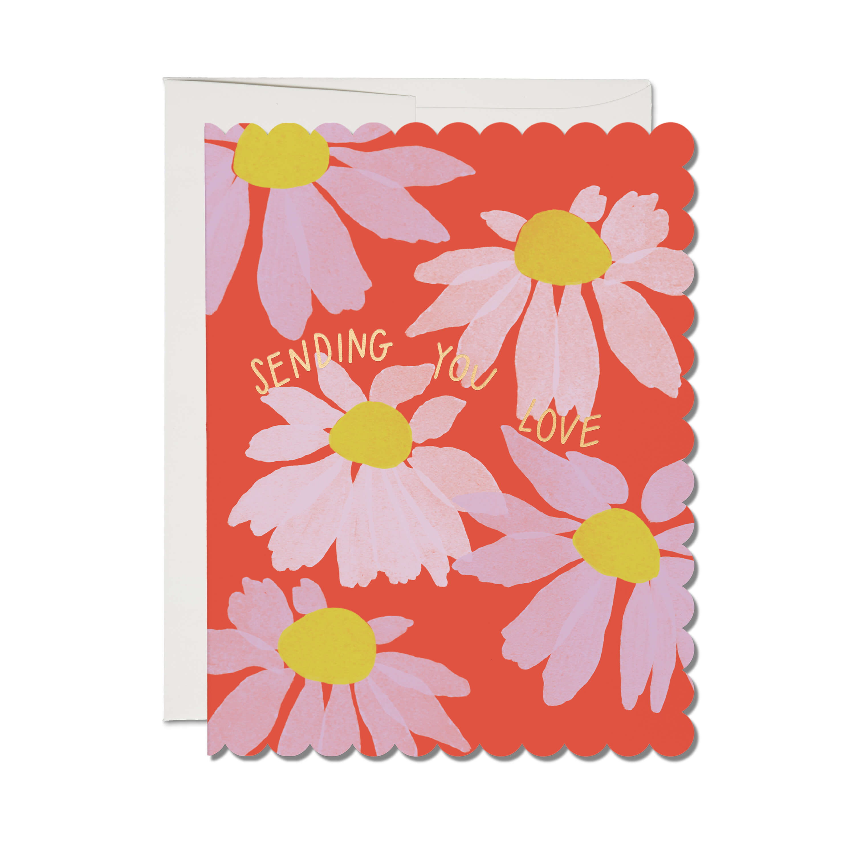 Scalloped Coneflower greeting card Single