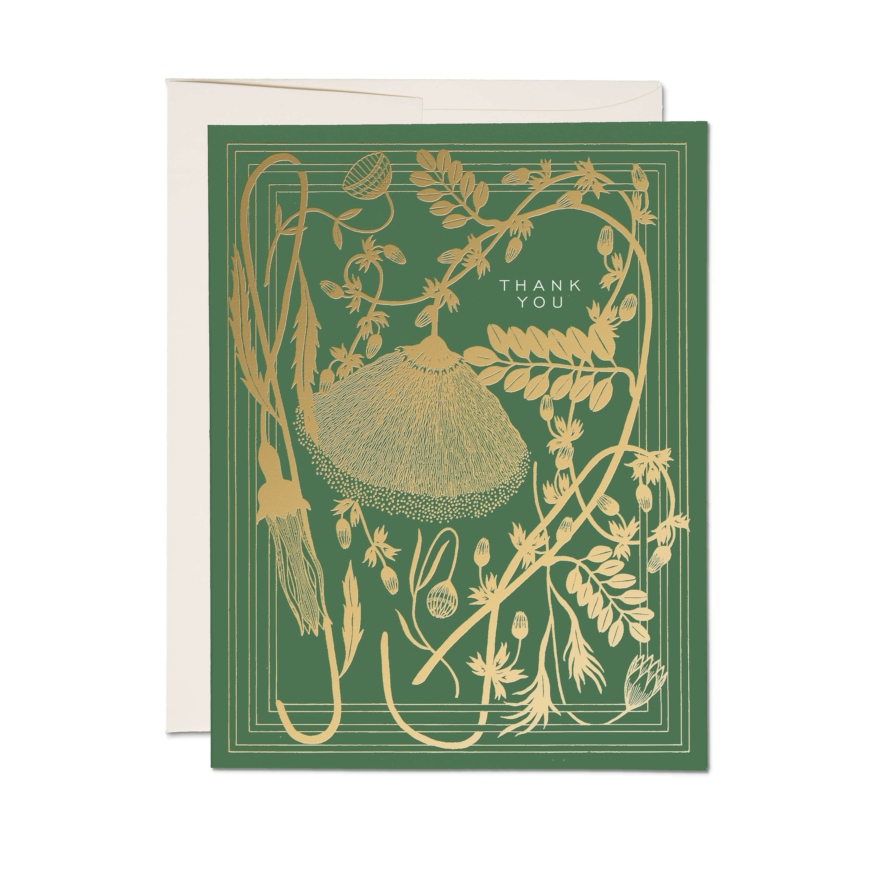Sage greeting card Single