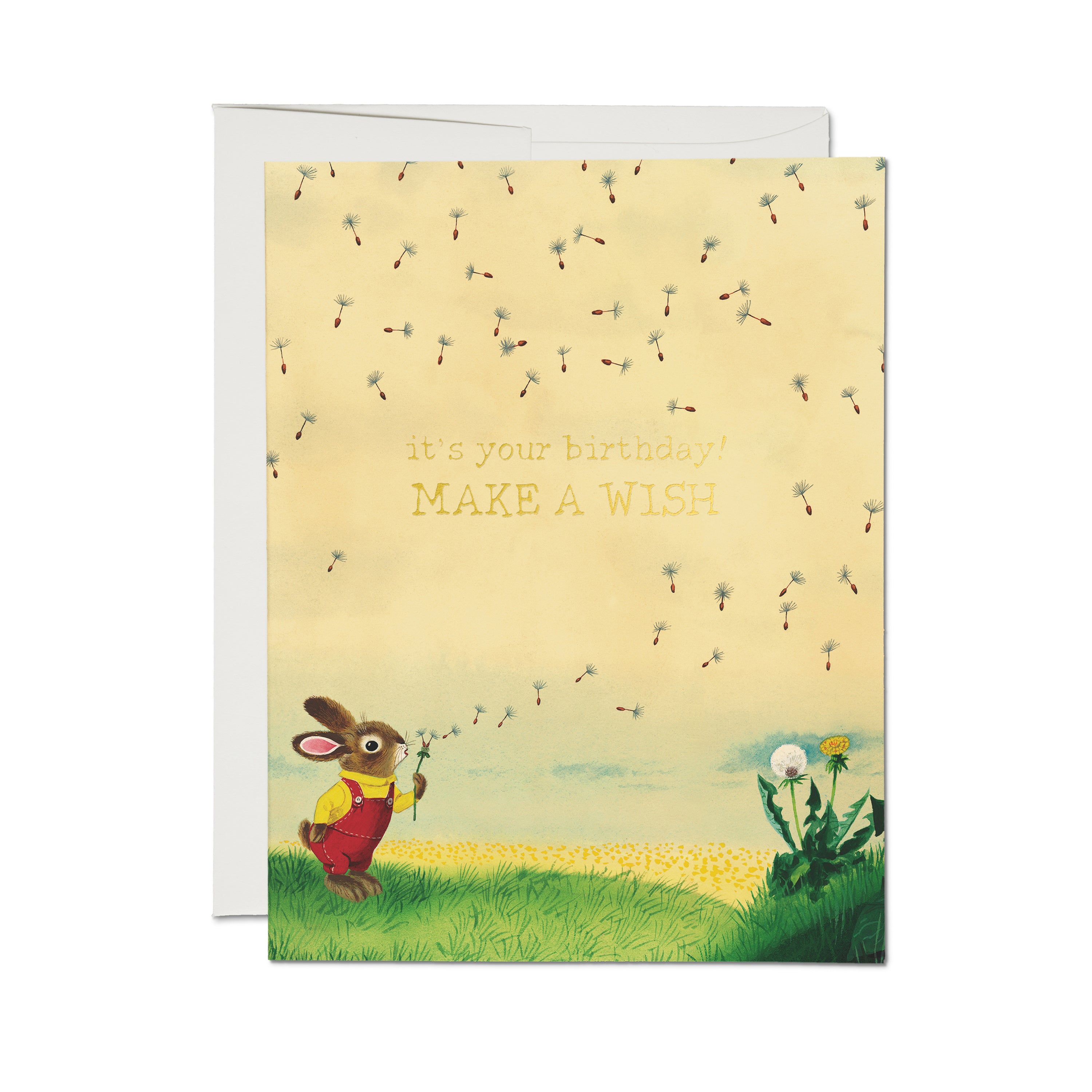 rare rabbit gift card Bunny and Dandelion Birthday Wish Card