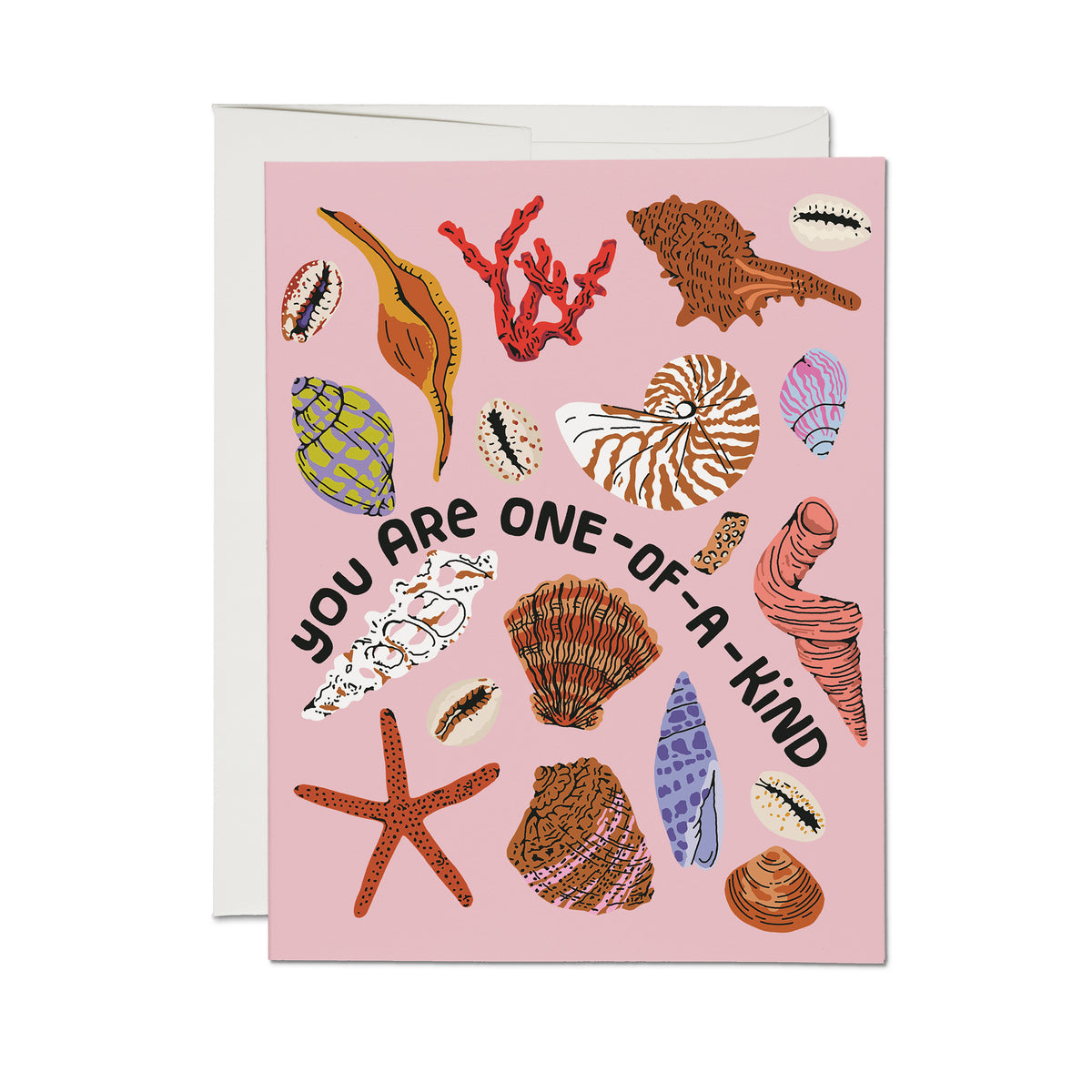 Special Seashell greeting card – Red Cap Cards