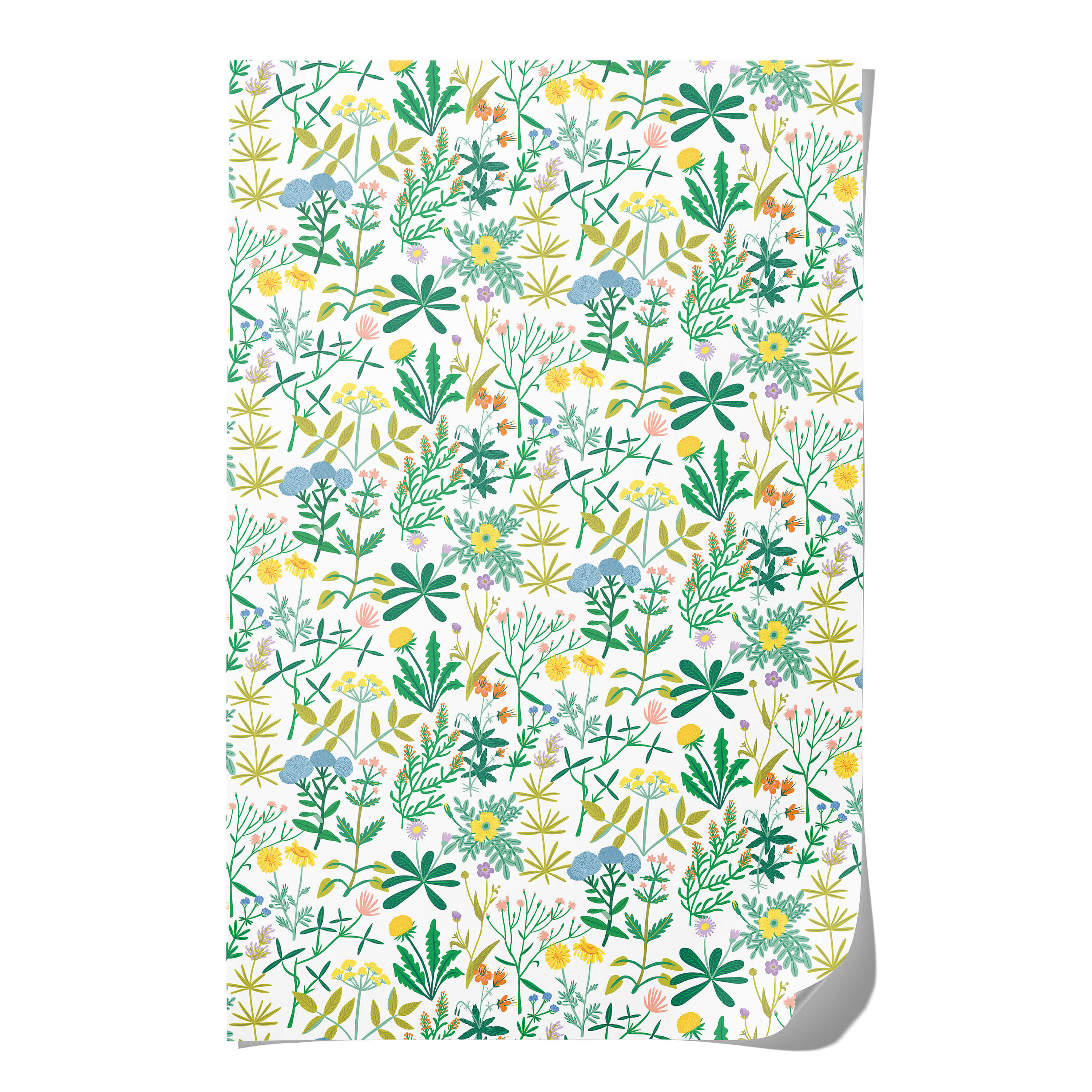 Growing Wild wrapping paper Single