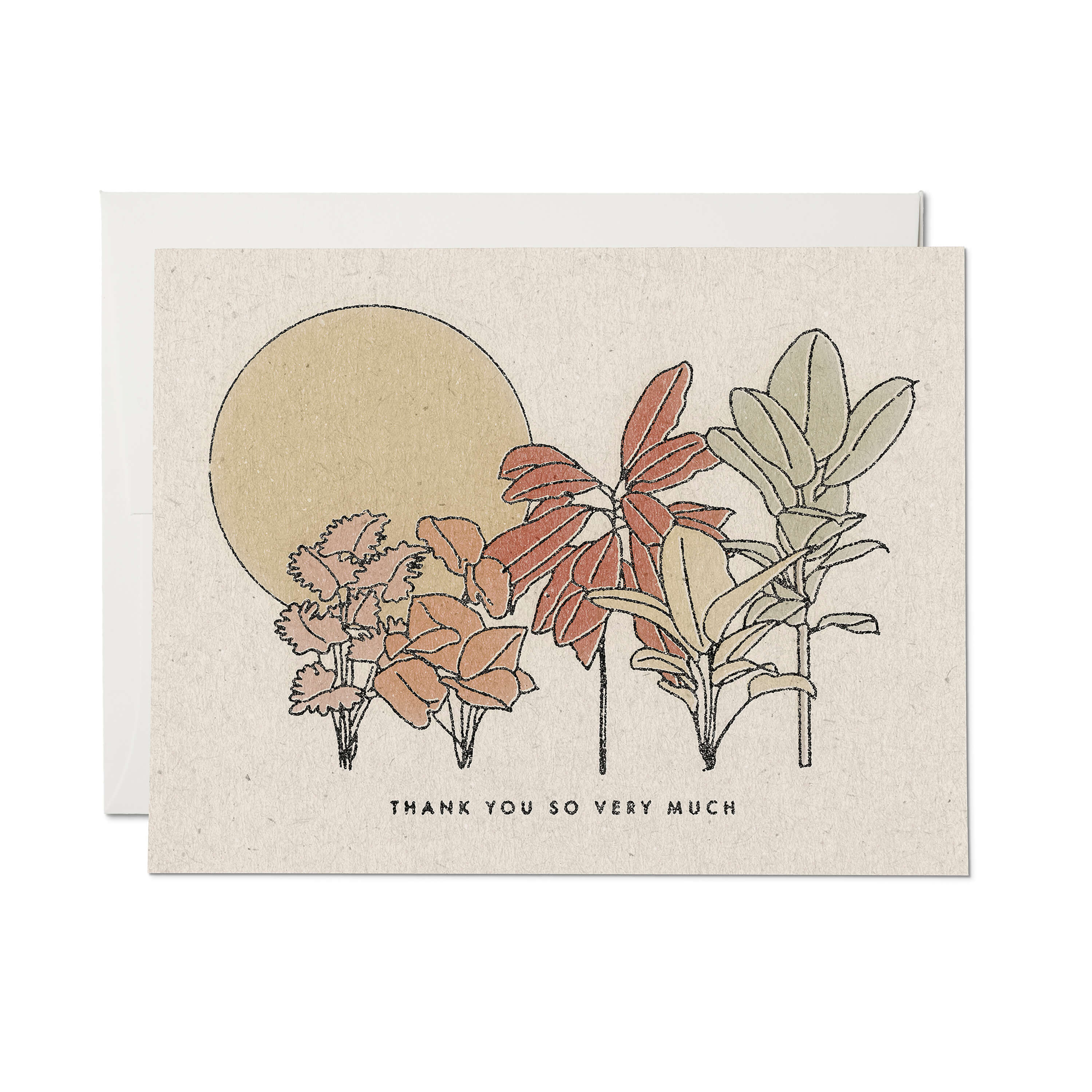 Desert Plants greeting card Single