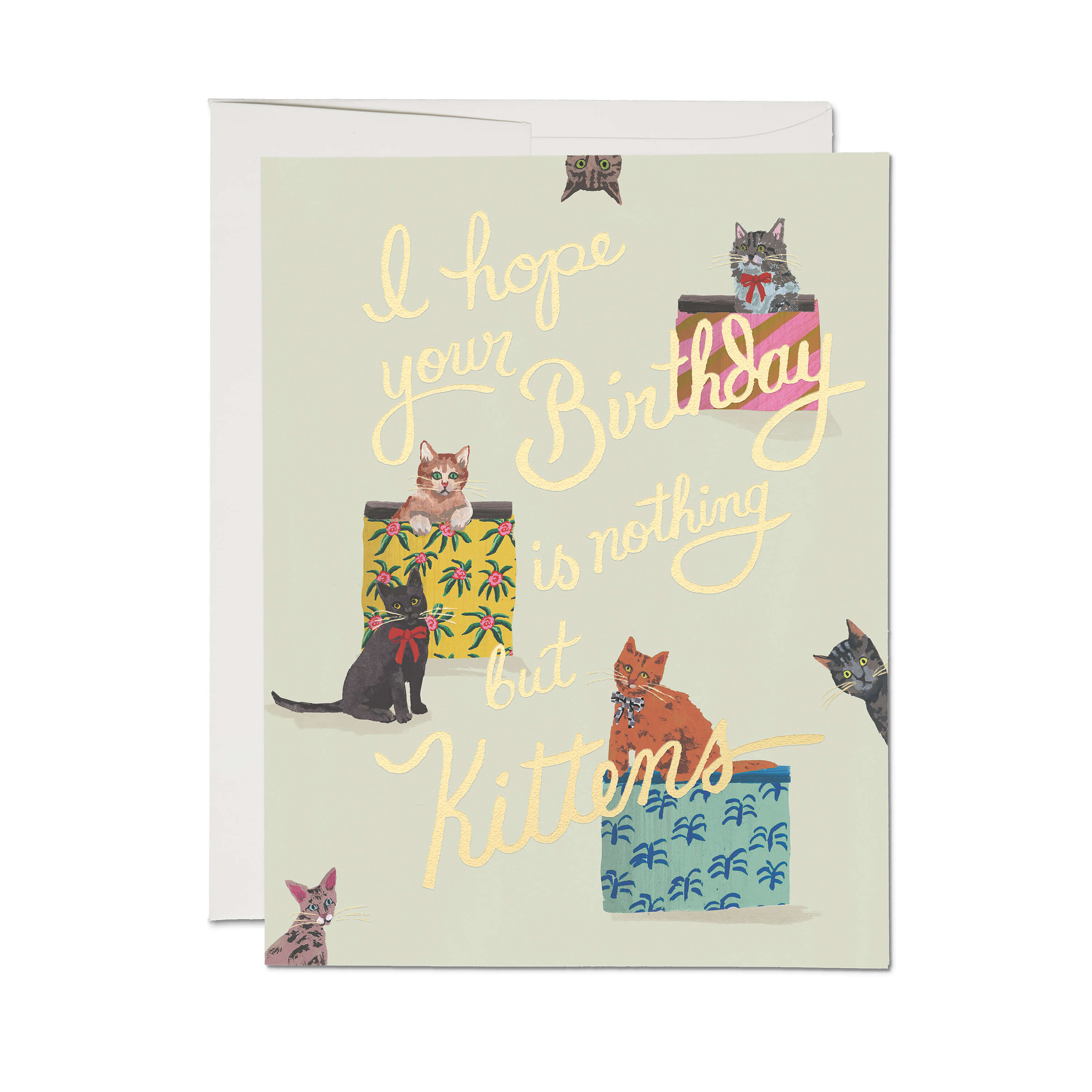 Nothing But Kittens greeting card SINGLE