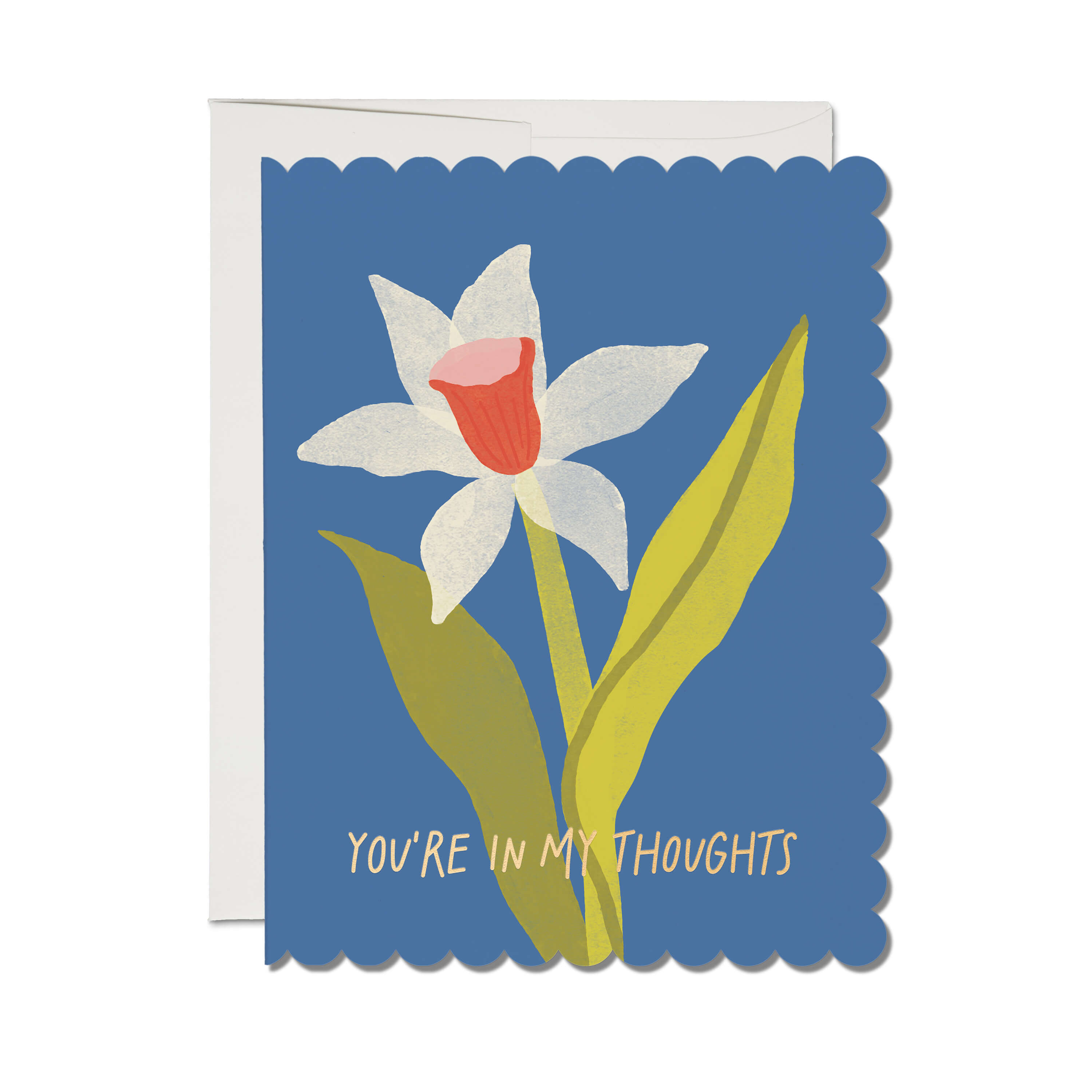 Scalloped Daffodil greeting card Single