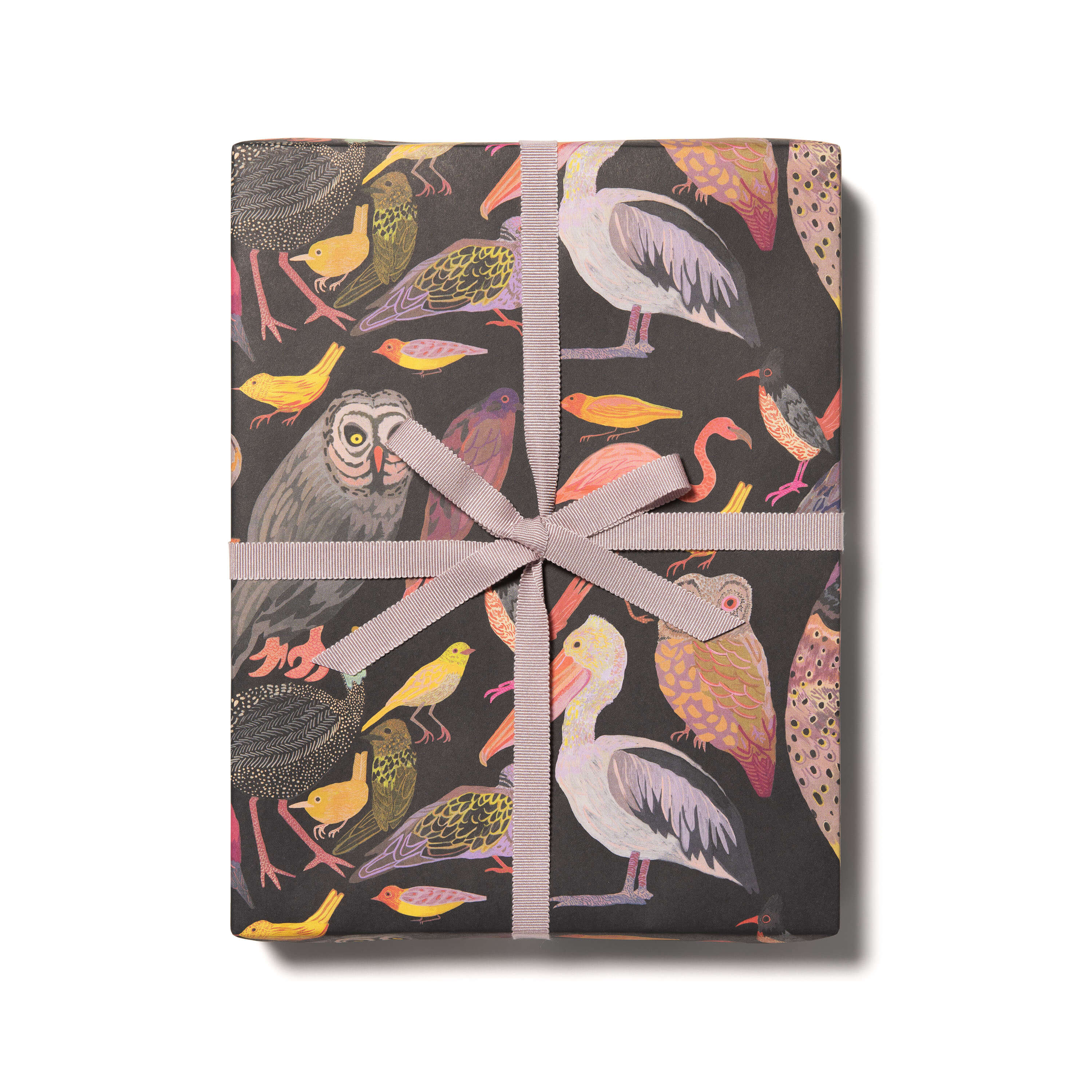 Aviary wrapping paper Roll of 3 Sheets