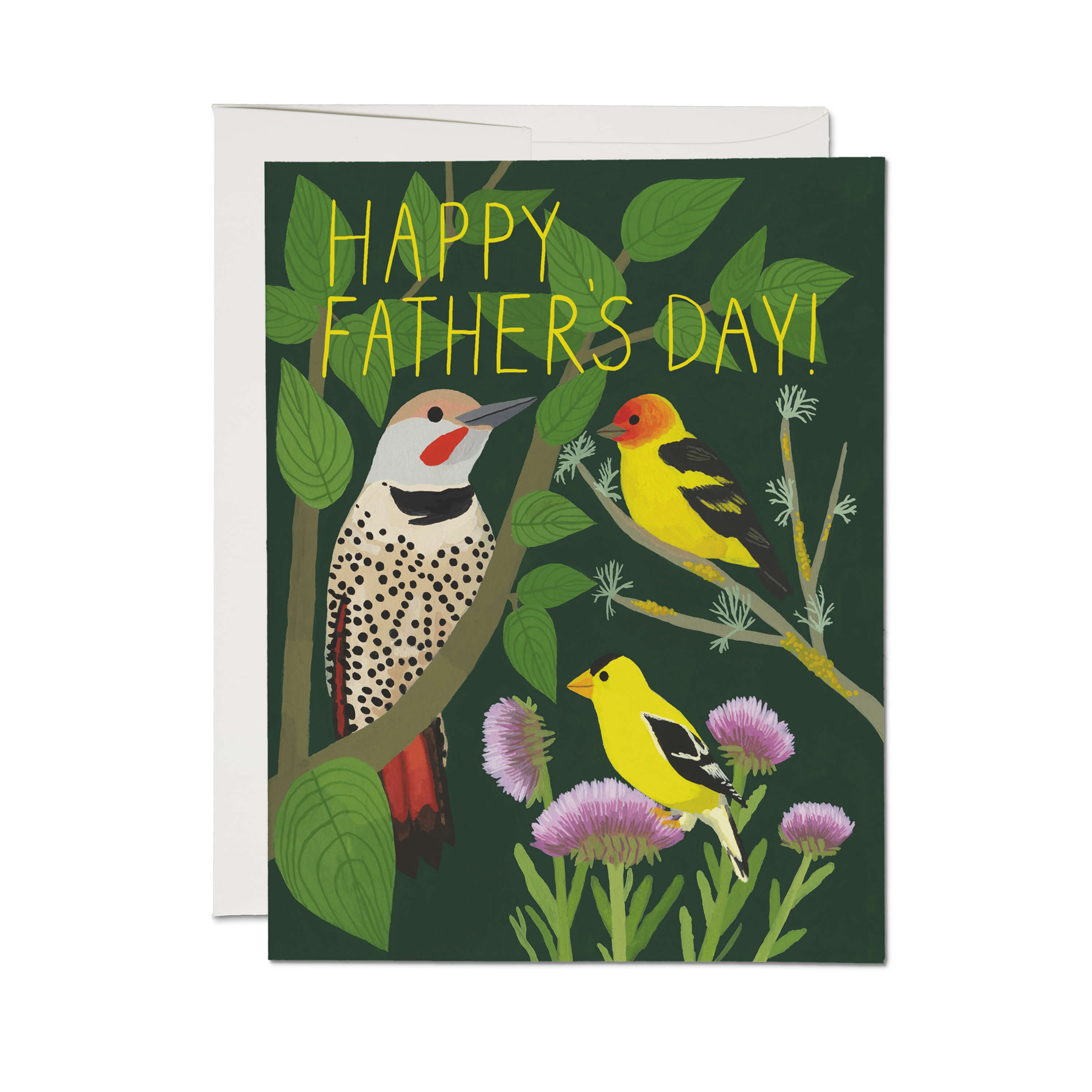 Bird Watching greeting card Single