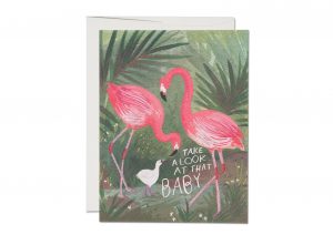 Flamingo Baby